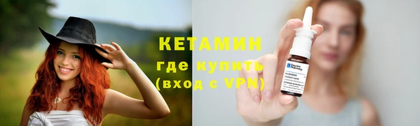 прущие грибы Покровск